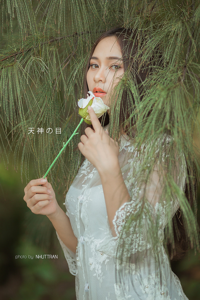 台湾绝版三级在线观看